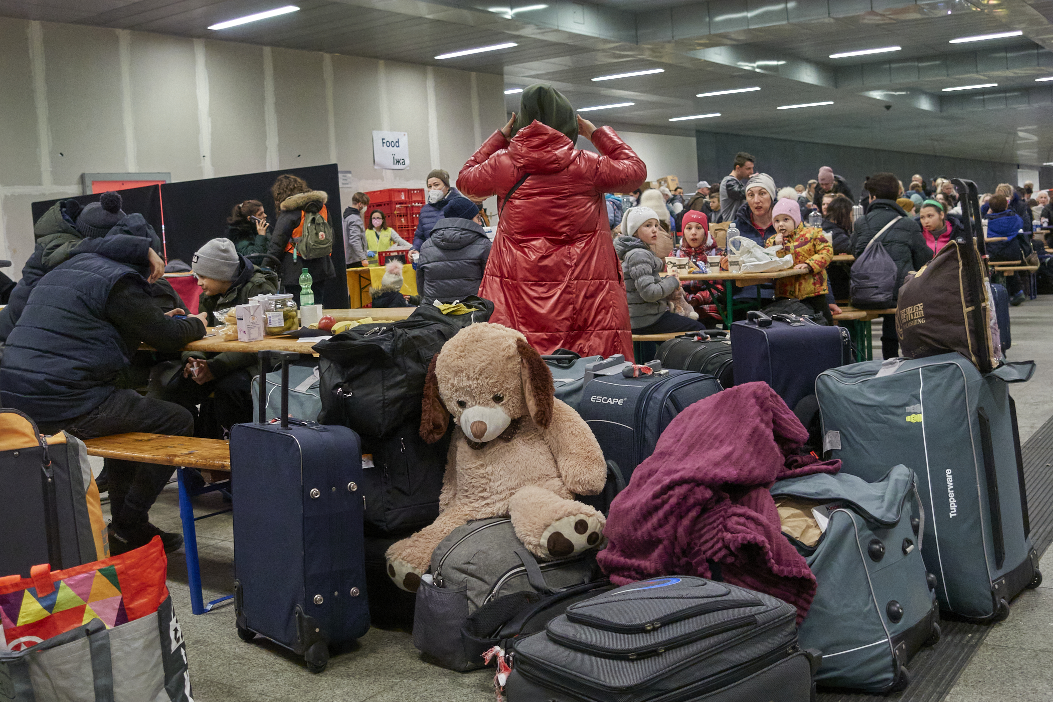 беженцы, украина, беженцы из украины, беженцы в германии, волонтерство, помощь беженцам в германии, помощь беженцам в европе
